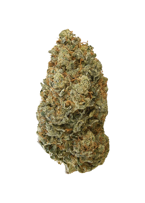 Devil's Lettuce