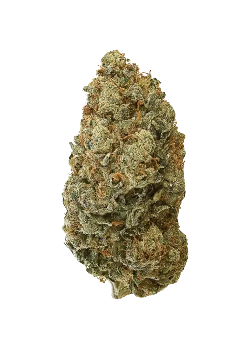 Devil's Lettuce