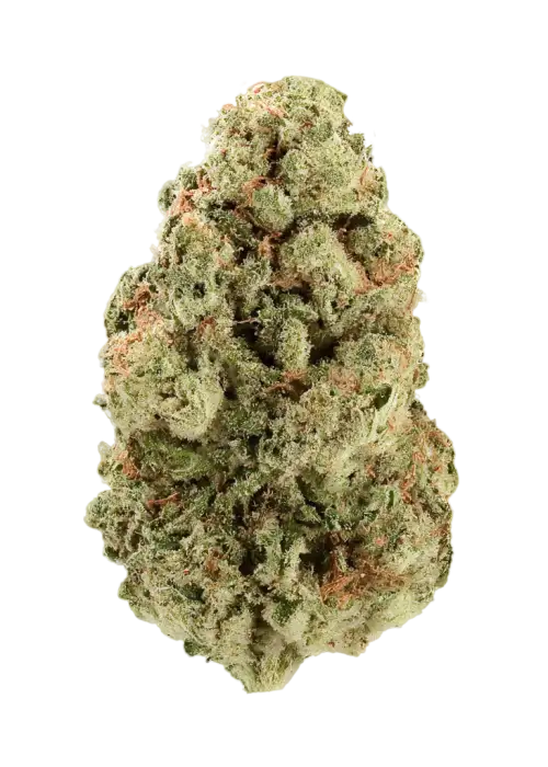 Sticky Fingers