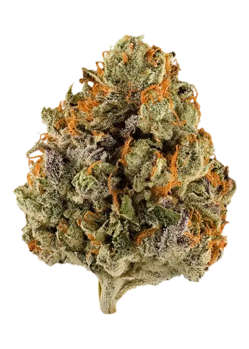 Orange Slushie
