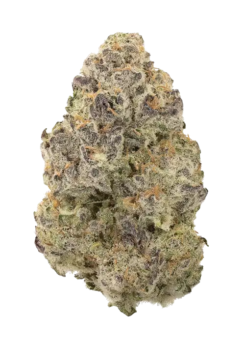 Tropical Berry