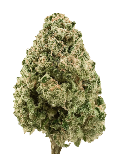 White Cookies