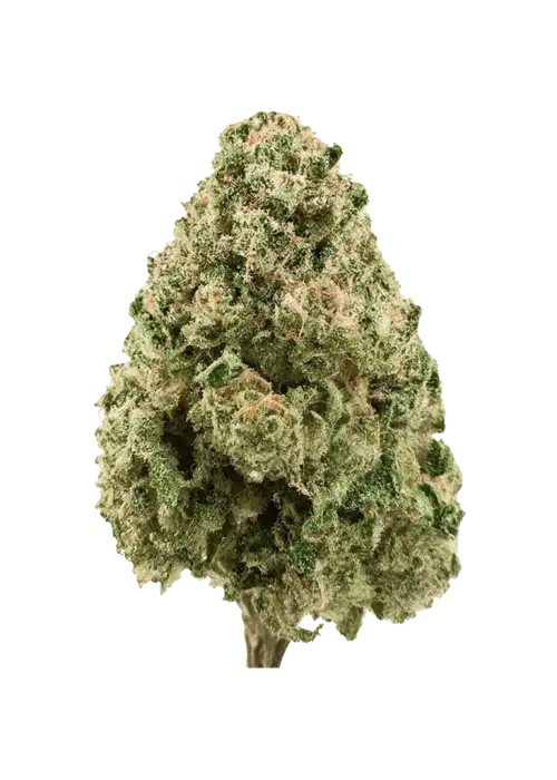 White Cookies