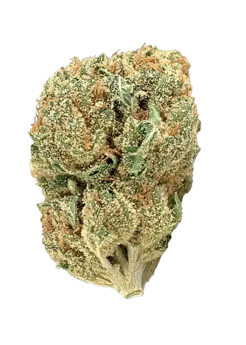 Wedding Cheesecake Auto
