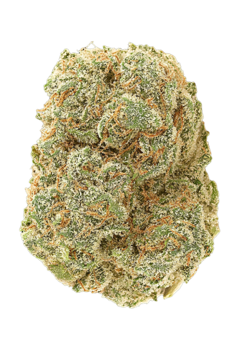 Wedding Cheesecake Auto