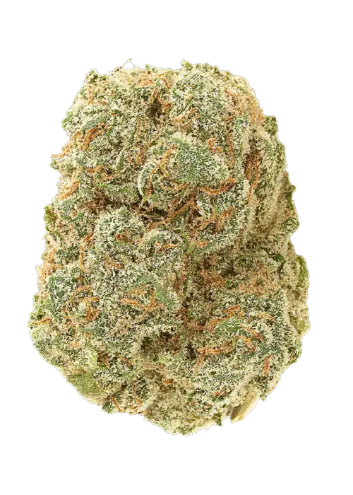 Wedding Cheesecake Auto