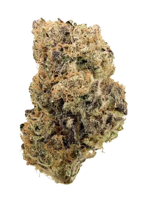 Berry Bonds