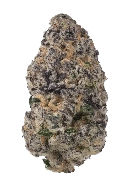 Candy Cookies