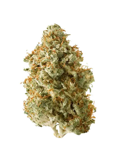Lemon Sugar