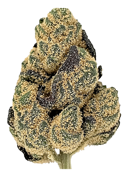 Lemon Sugar