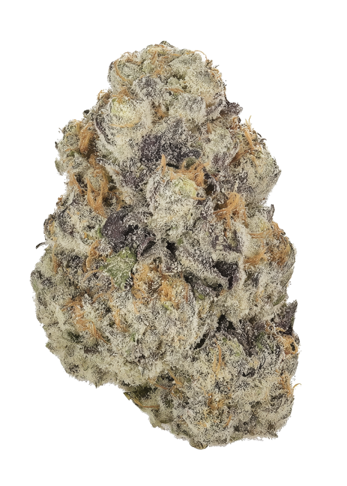 Double Grape