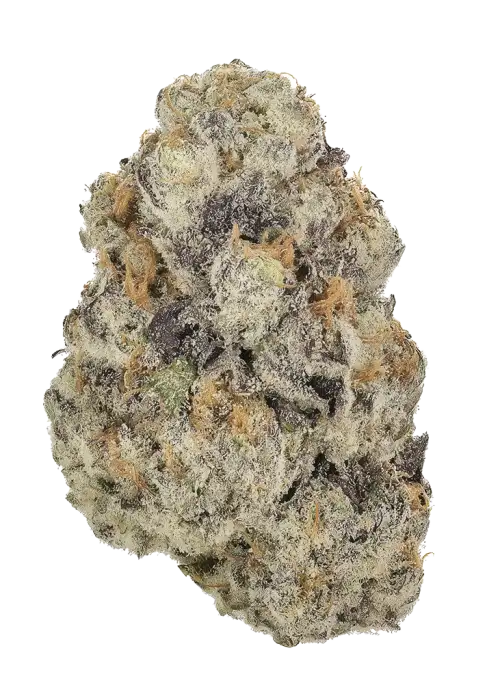Double Grape