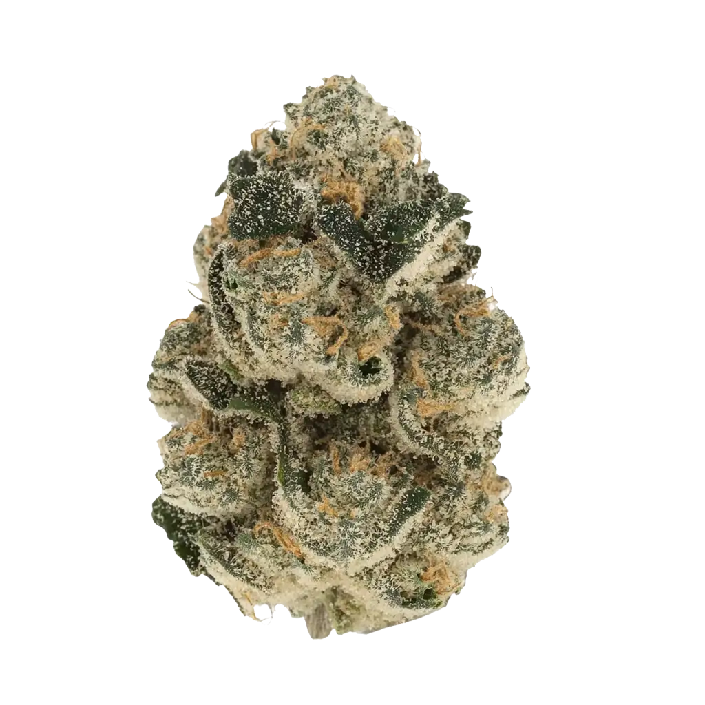 その他 KUSHI 4833-zushi.webp