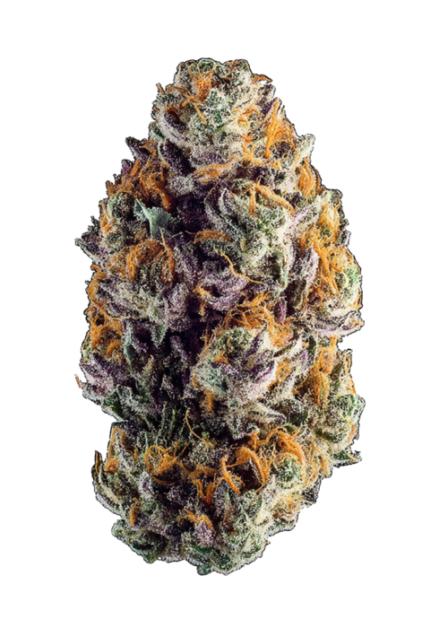 Blueberry Lemonade