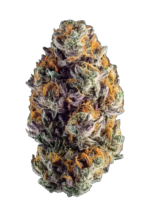 Blueberry Lemonade