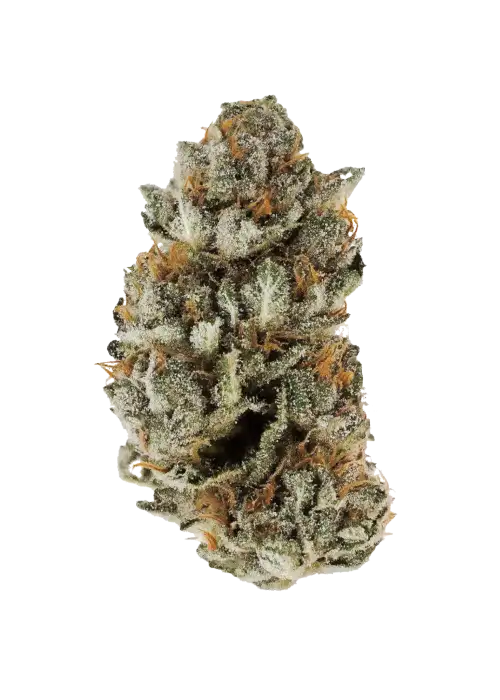 Pink Sherb