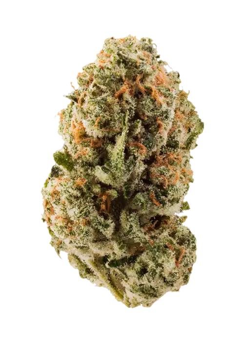 Orange Drizzle