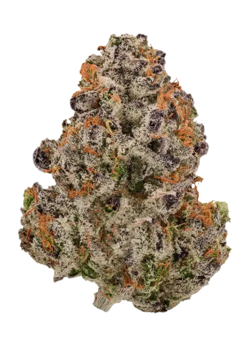Cookie Crumble