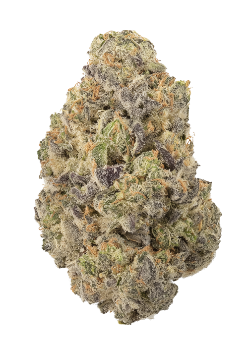 Dr. J