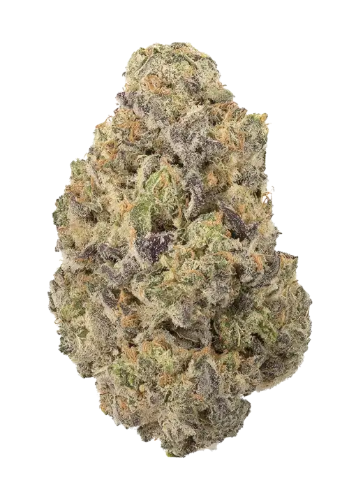 Dr. J