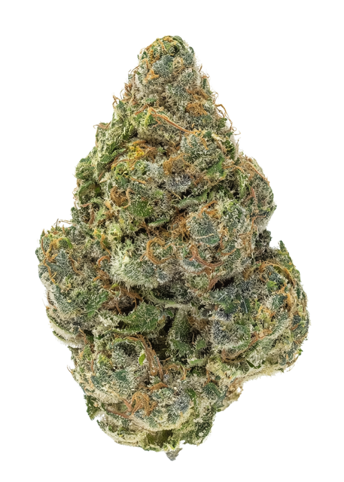 Peach Milano