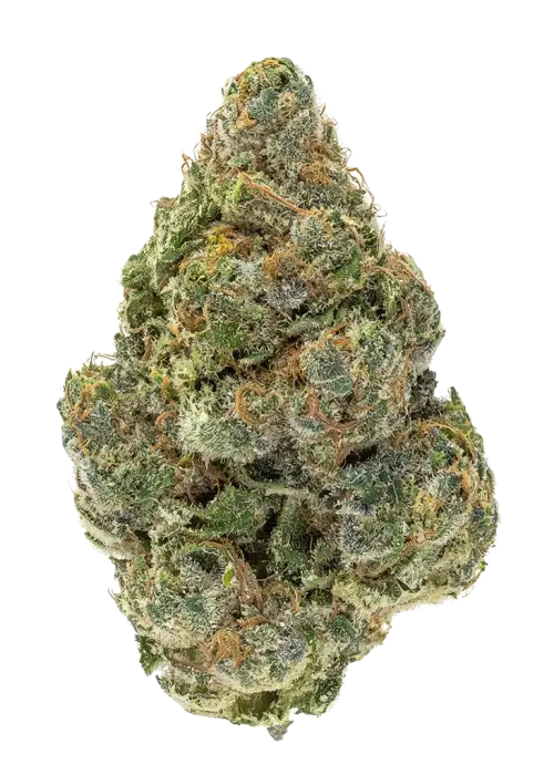 Peach Milano