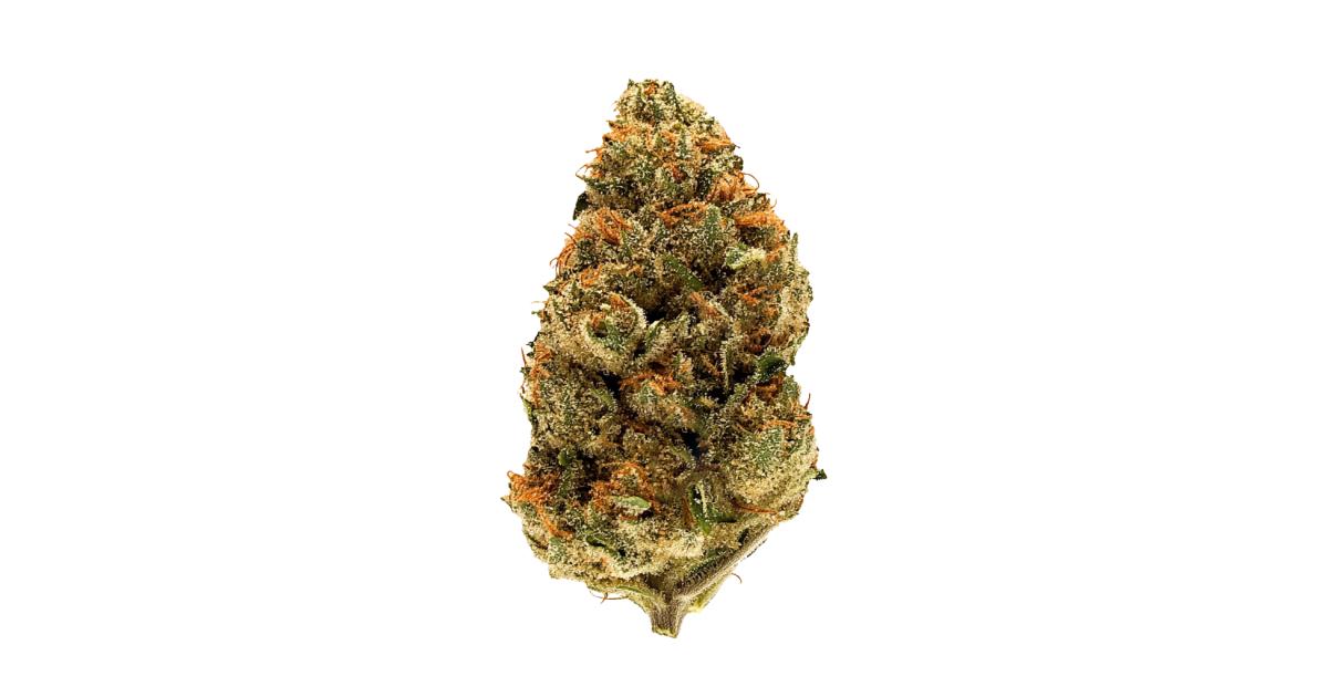 Red Light Cannabis Strain Information - GrowDiaries