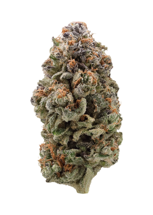 Blue Spring Cookies