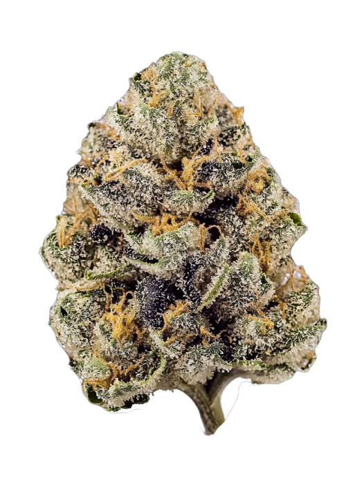 【世界100台】WEED Blues D 2 MA104B BD-2 世界100台】WEED Blues D 2 MA104B BD-2 世界100台】WEED Blues D