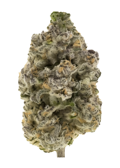 Beyond Blueberry