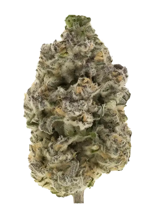 Beyond Blueberry