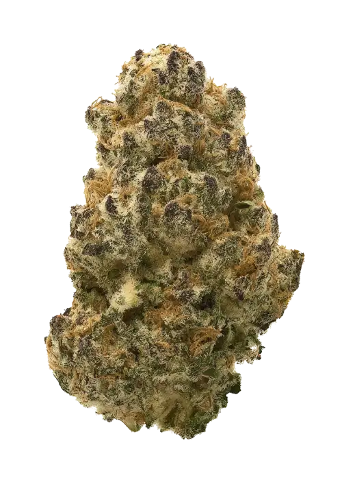 Zensation