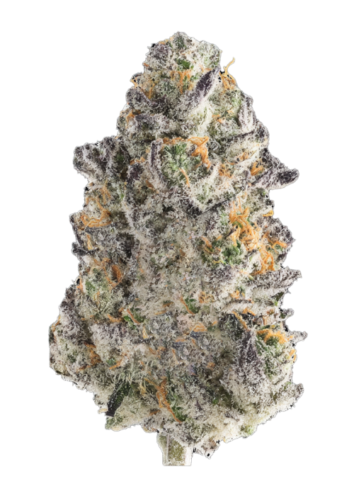Crispy Sugar