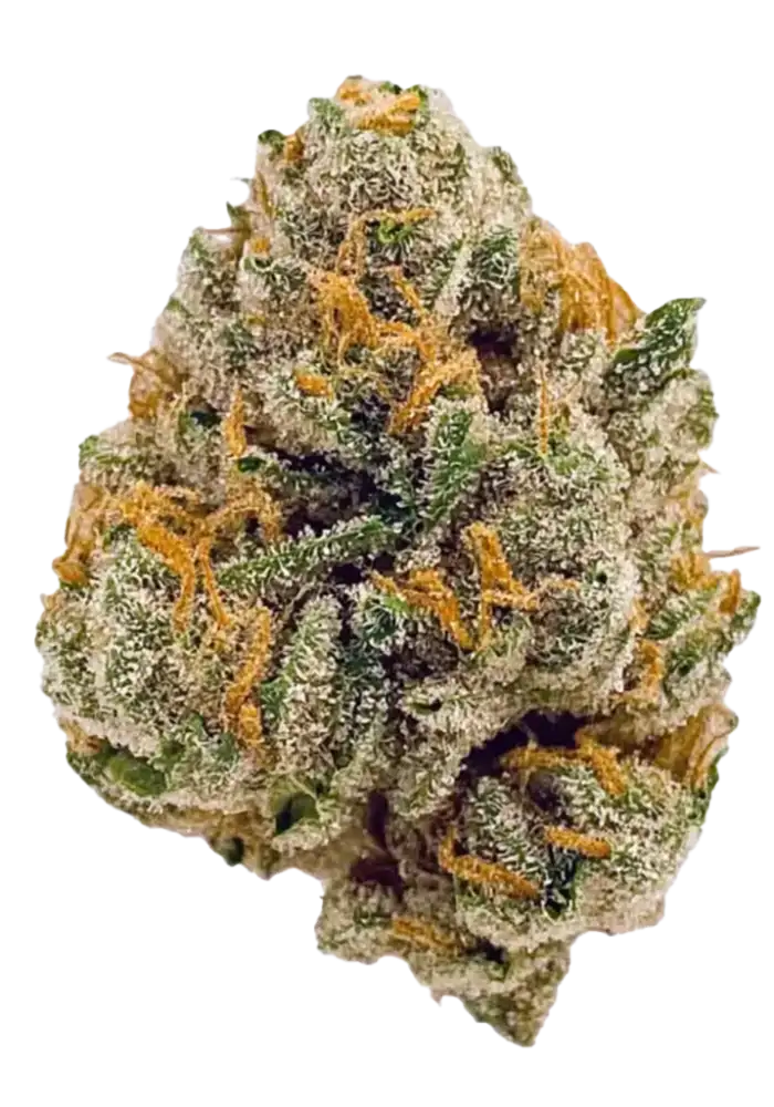 Blueberry Muffin