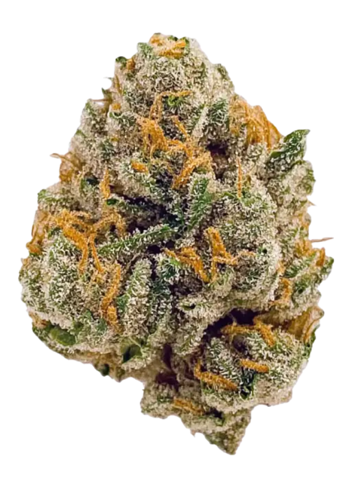 Blueberry Muffin
