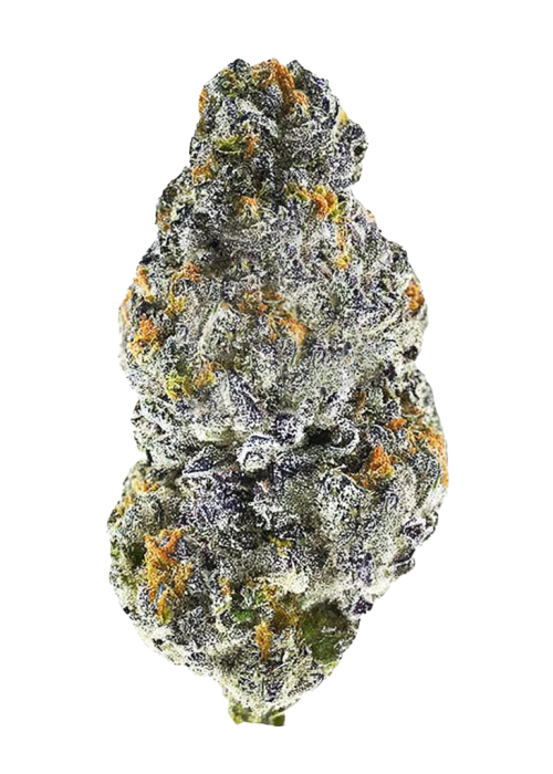 Black Cherry Gushers