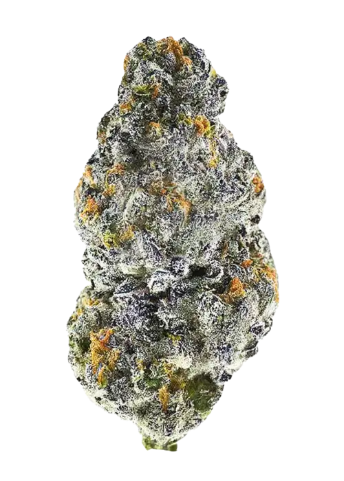 Black Cherry Gushers