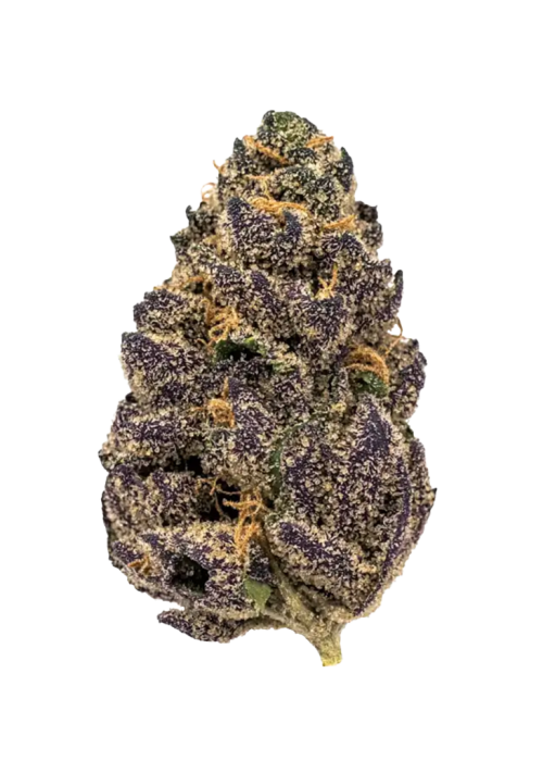 Blue Gushers