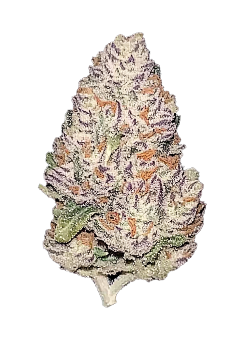 Ztrawberriez Auto