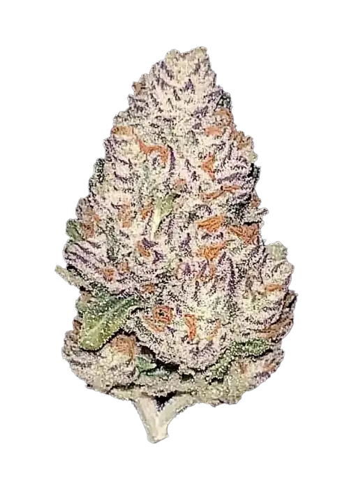 Ztrawberriez Auto