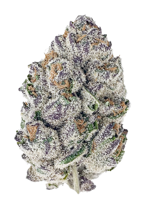 Gorilla Cookies Auto