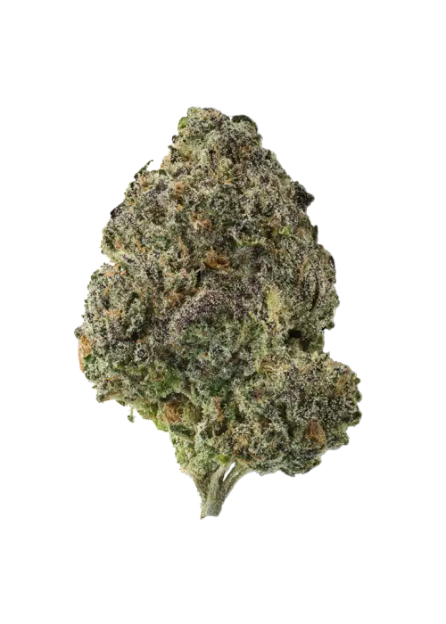Super Cherry