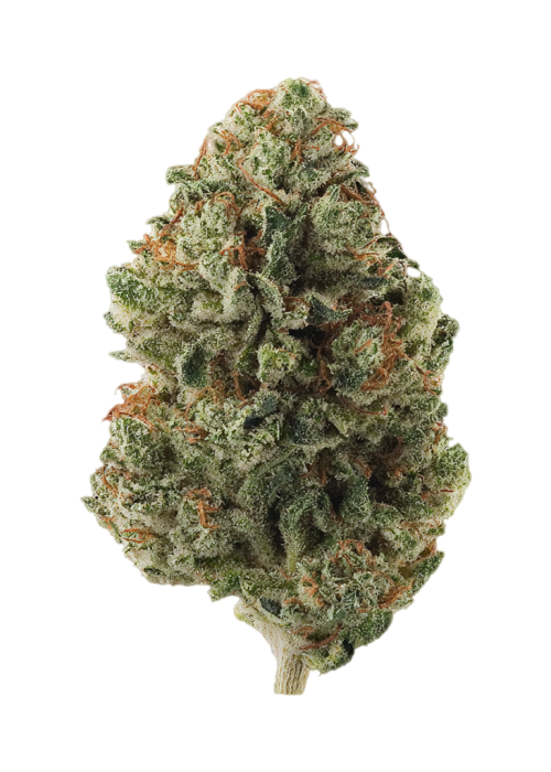 Chemdawg #4