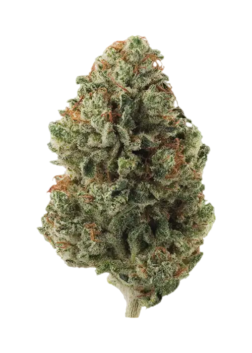 Chemdawg #4