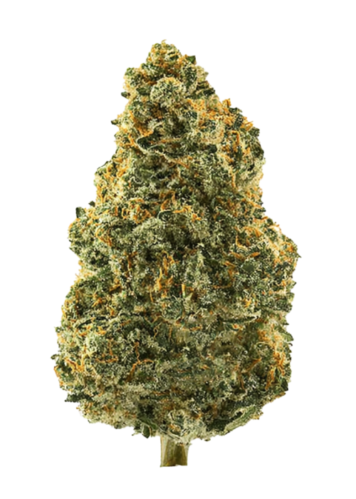 The Azucar