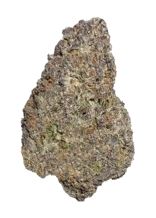 Tropical Zmoothie