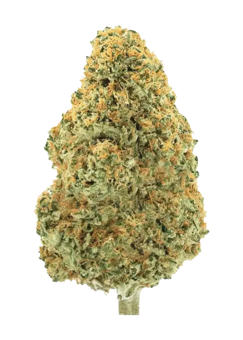 Passion Orange Zmoothie
