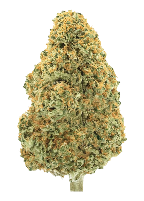 Passion Orange Zmoothie