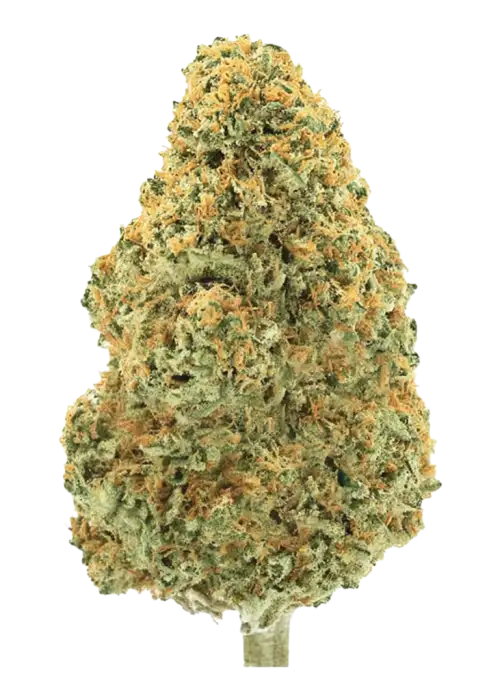 Passion Orange Zmoothie