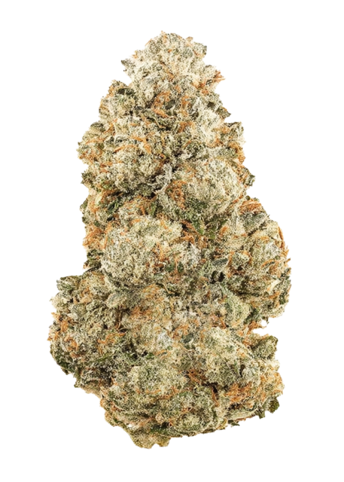 Grapefruit Zruntz